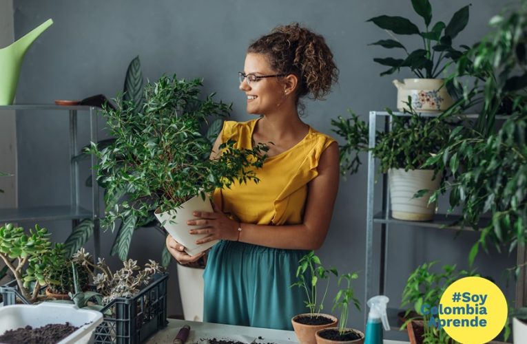 15 ideas para celebrar el 8M